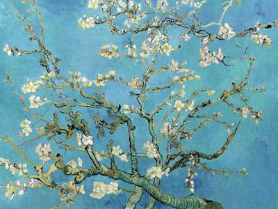 Almond Branches in Bloom, San Remy, c.1890 - Wall Art Print, 32x24
