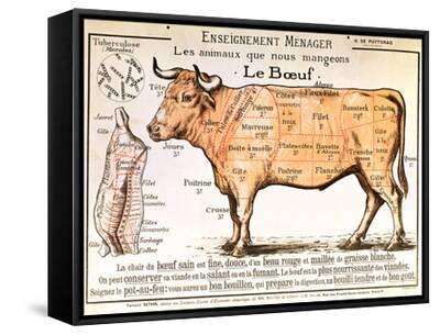 Beef: Diagram Depicting the Different Cuts of Meat - Black Framed Canvas Print Wall Art, 24x18