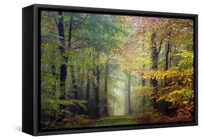 Brocéliande colored forest - Black Framed Canvas Print Wall Art, 18x12