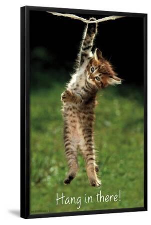 Famous Kitten Hang In There Poster - Black Framed Art Print Wall Art, 22x34