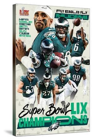 NFL Philadelphia Eagles - Super Bowl LIX Champions - Canvas Print Wall Art, 22x34