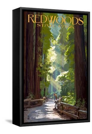 Redwoods State Park - Pathway in Trees - Black Framed Canvas Print Wall Art, 12x18