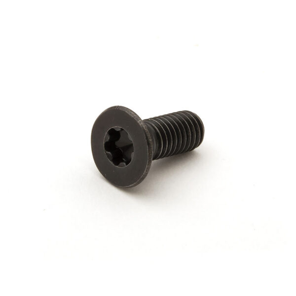 Hollow-Pro Hollowing Tool Replacement Torx Screw